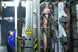 一刷标签便知肉源，药品零售追溯体系的新启示