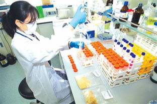 赞！网售食品也要查许可证 最严食安法十月起实施